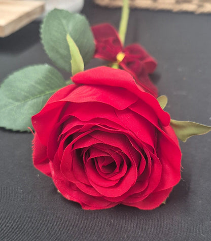 Large Single Red Rose