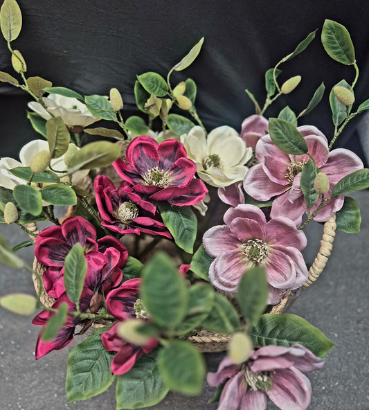 Single Stem Magnolia